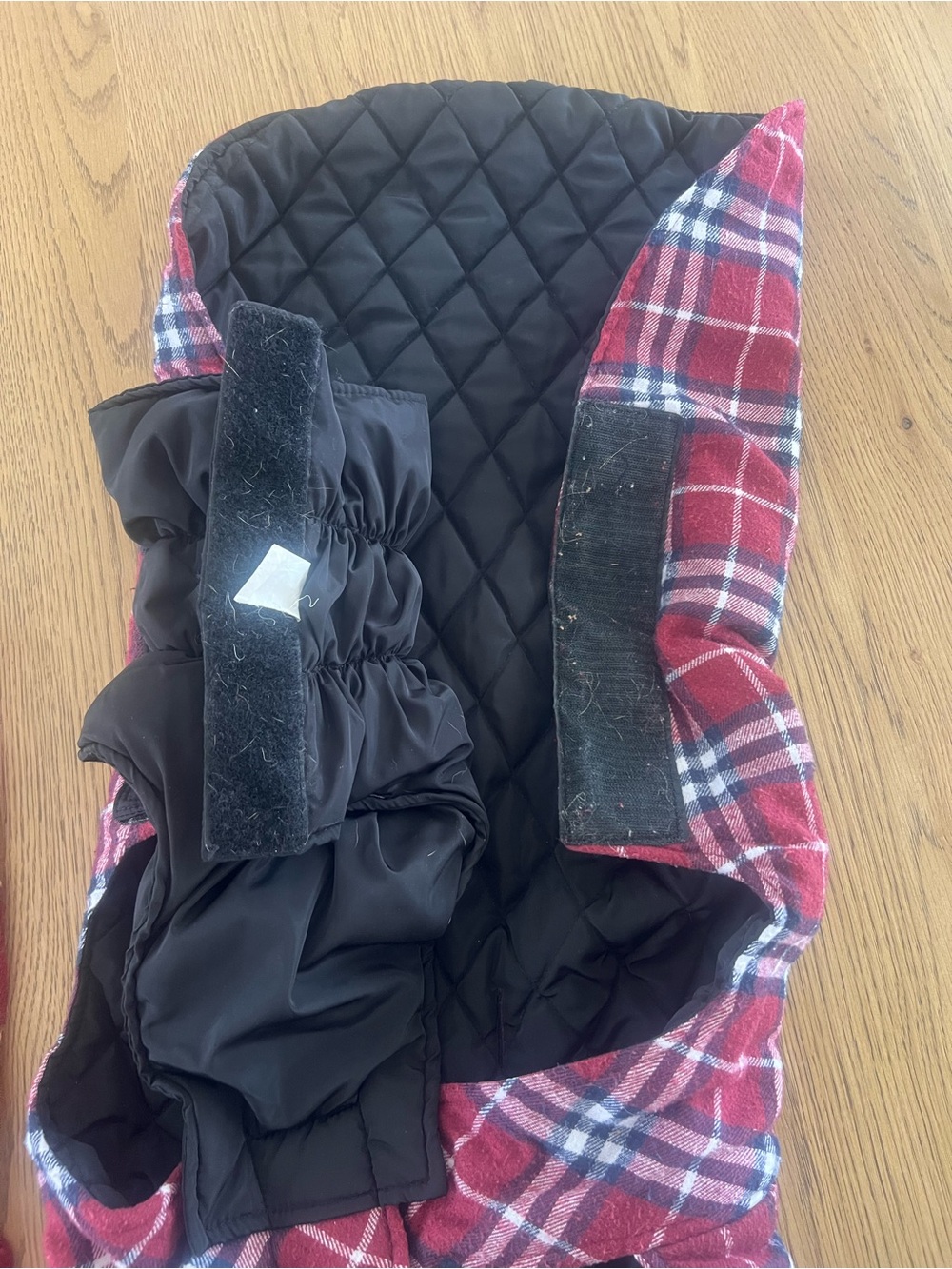 Dog jacket - Picture 4 of 4